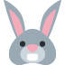 :rabbit_face: