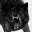 Barlas_81